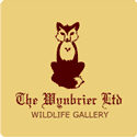Wynbrier logo